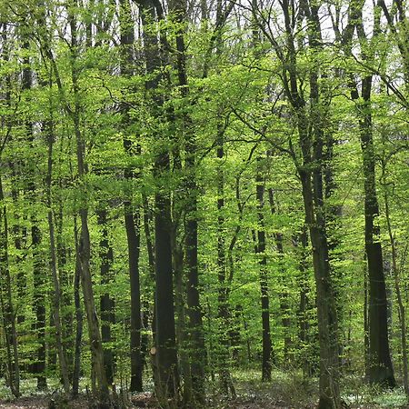 Ferienwohnungen Fischer Strullendorf Zewnętrze zdjęcie